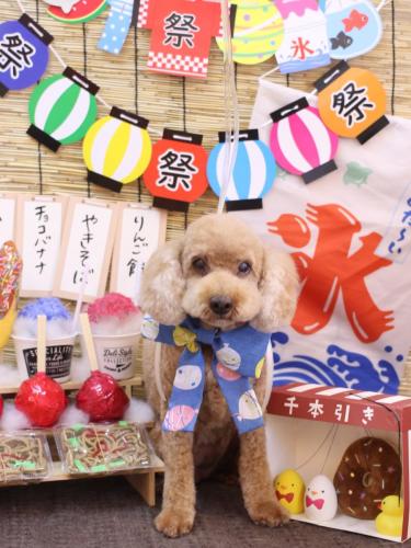 20240705マノアちゃん